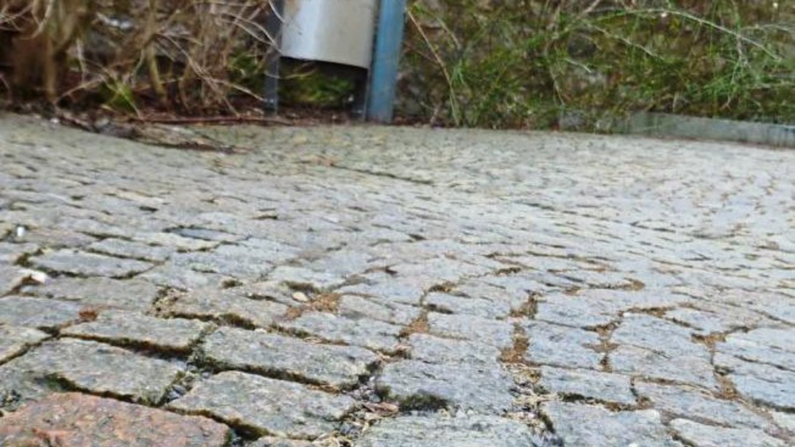 Pfui! Manche lassen ihren Abfall kurz vorm Mülleimer einfach fallen.  Foto: Rücker