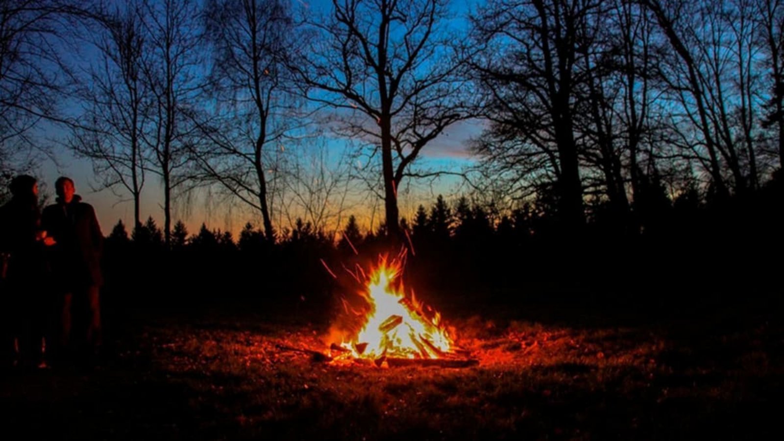 Wintersonnenwende: Auf den 21. Dezember fällt auch der kalendarische und astronomische Winteranfang.Archiv/ Schutzgemeinschaft Deutscher Wald Wintersonnenwende: Auf den 21. Dezember fällt auch der kalendarische und astronomische Winteranfang.Archiv/ Schutzgemeinschaft Deutscher Wald