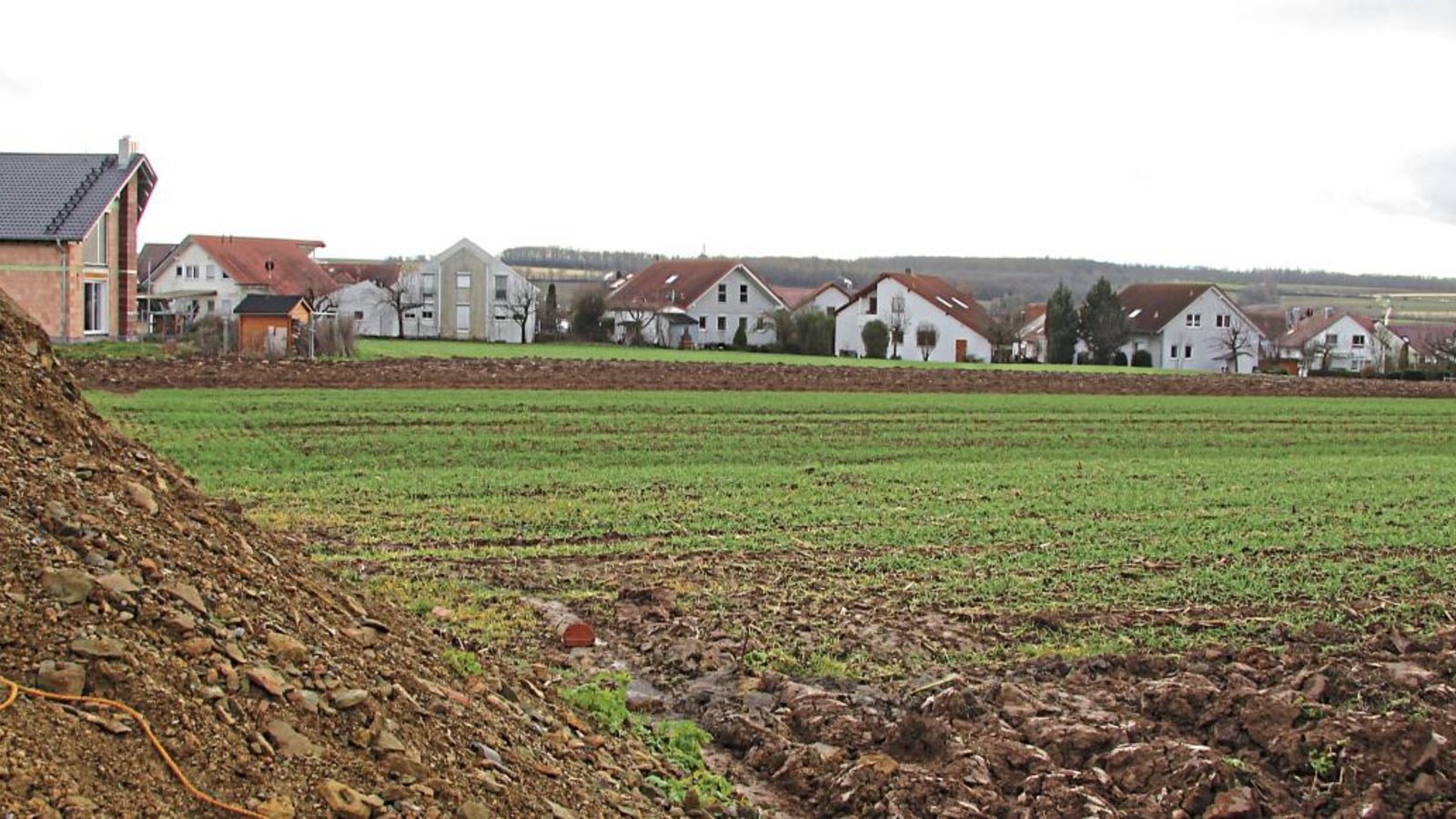 Ein neues Wohngebiet in Oberriexingen ist hier unter dem Namen „Schrannenäcker-West“ geplant. Foto: Banholzer Ein neues Wohngebiet in Oberriexingen ist hier unter dem Namen „Schrannenäcker-West“ geplant. Foto: Banholzer