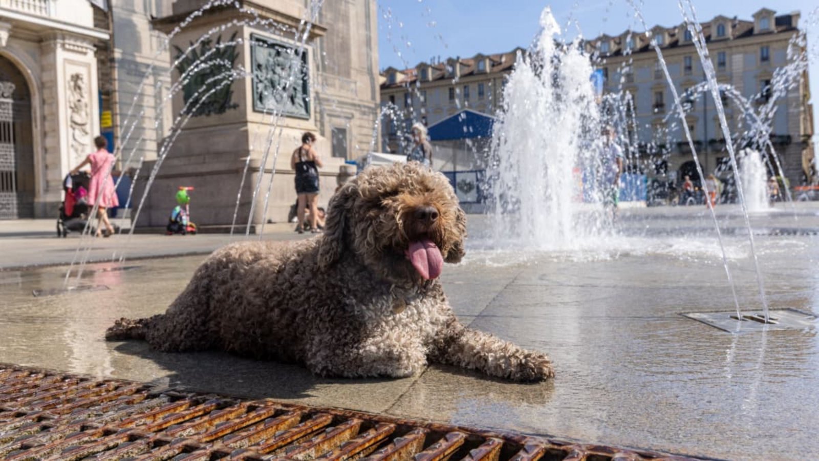 Ein Hund liegt in Turin an einem Brunnen, um sich abzukühlen. Die kommenden Tage sollen auch hier heiß werden, mit Temperatuten bis deutlich über 30 Grad.Mauro Ujetto/LaPresse via ZUMA Press/dpa Ein Hund liegt in Turin an einem Brunnen, um sich abzukühlen. Die kommenden Tage sollen auch hier heiß werden, mit Temperatuten bis deutlich über 30 Grad.Mauro Ujetto/LaPresse via ZUMA Press/dpa