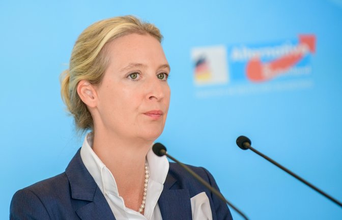 Auch die EU interessiert sich für das Interview der beiden.<span class='image-autor'>Foto: photocosmos1 / shutterstock.com</span>