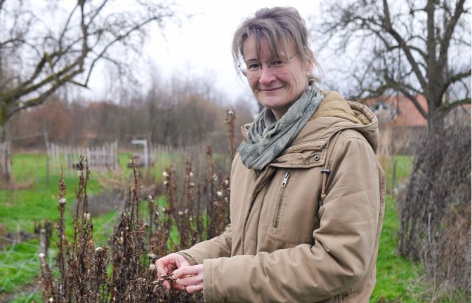 Caroline Wolf auf ihrem Feld: Die Blüten der Strohblume vor ihr hat sie im Spätsommer abgeschnitten und getrocknet.<span class='image-autor'>Foto: /Anna-Sophie Kächele</span>