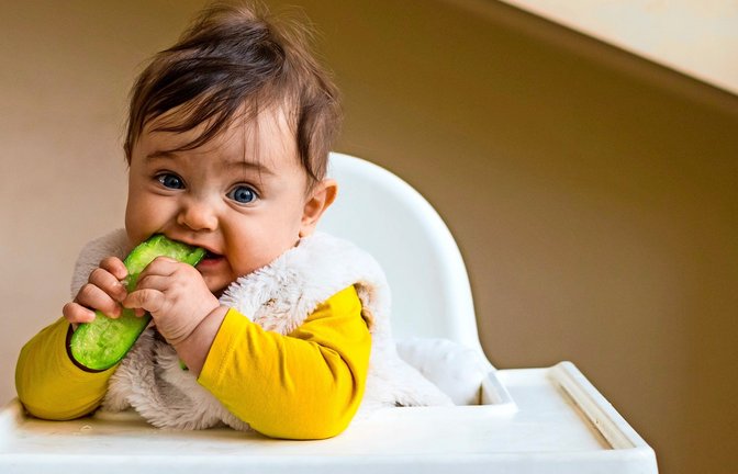 Gemüse und Obst gehören zu einer gesunden Ernährung dazu.<span class='image-autor'>Foto: Adobe Stock/Viktor Kochetkov</span>
