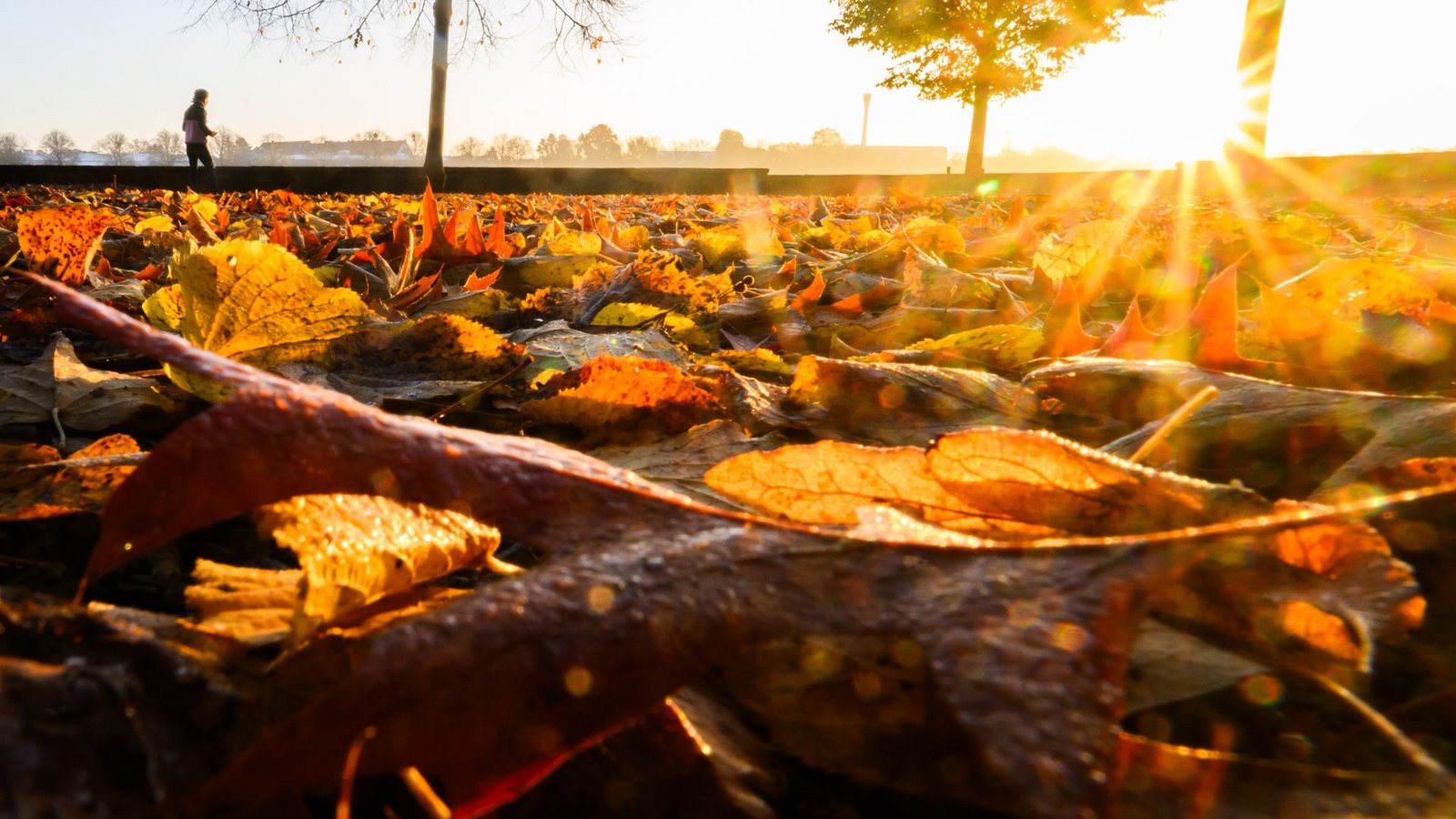 Gute Aussichten für den 3. Oktober – aber nur kurz.Foto: Julian Stratenschulte/dpa Gute Aussichten für den 3. Oktober – aber nur kurz.Foto: Julian Stratenschulte/dpa