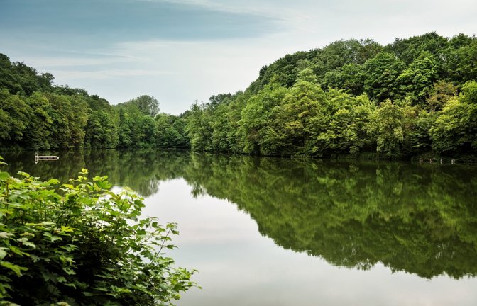 Der zisterziensischen Wasserbaukunst gilt eine der Sonderführungen.  <span class='image-autor'>Foto: Bayerl/SSG</span>