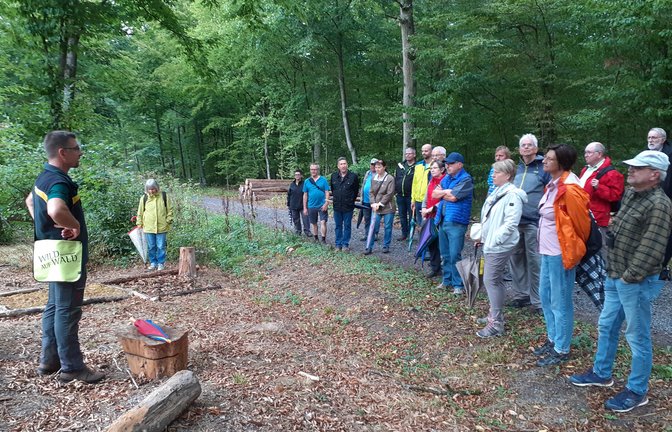 Revierförster Theo Wöhr und Teilnehmer der Waldbegehung im Forst am Baiselsberg.  <span class='image-autor'>Foto: Glemser</span>