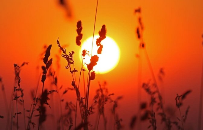 Heute könnte es mit 38 Grad der heißeste Tag der Woche werden.<span class='image-autor'>Matthias Bein/dpa</span>