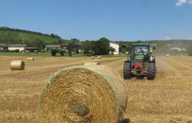 Getreideernte 2024, hier bei Gündelbach: schon fast vorbei.  <span class='image-autor'>Foto: Arning</span>