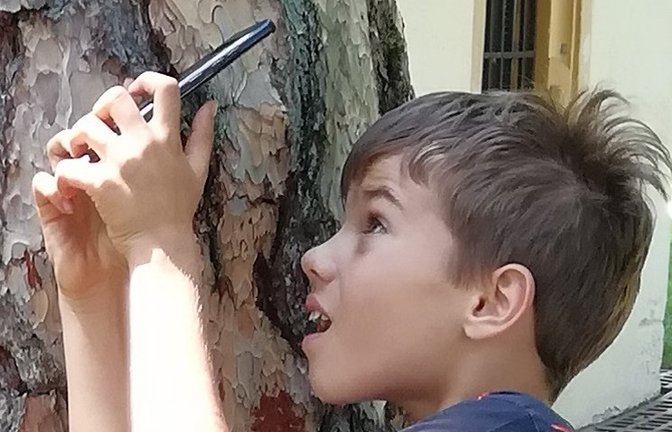 Fototour für Kinder. <span class='image-autor'>Foto: p</span>