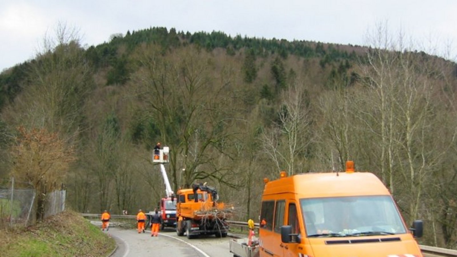 Grünpflege an den Straßen. Foto: LE Grünpflege an den Straßen. Foto: LE
