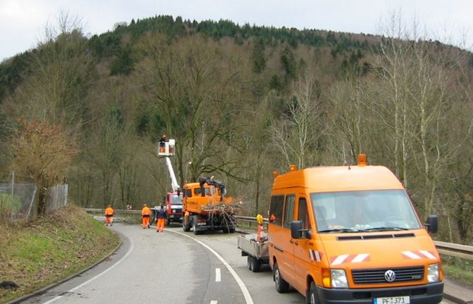 Grünpflege an den Straßen.  <span class='image-autor'>Foto: LE</span>