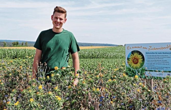 Simon Schray möchte mehr Menschen für die insektenfreundlichen Blühstreifen begeistern.