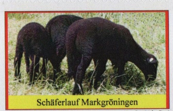 Es gibt neue Schäferlauf-Briefmarken. <span class='image-autor'>Foto: p</span>