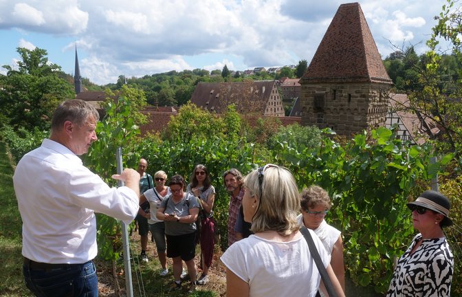 Frank Jaggy (links) erklärte den Besuchern, wie Weinbau in den Lagen des Closterweinbergs Maulbronn funktioniert.  <span class='image-autor'>Foto: Friedrich</span>