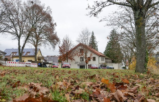 An der Friolzheimer Straße, neben der alten TSV-Halle, will die Gemeinde Wimsheim eine  Unterkunft für Geflüchtete bauen. Die Einrichtung soll 4,5 Millionen Euro kosten.<span class='image-autor'>Foto: Simon Granville</span>