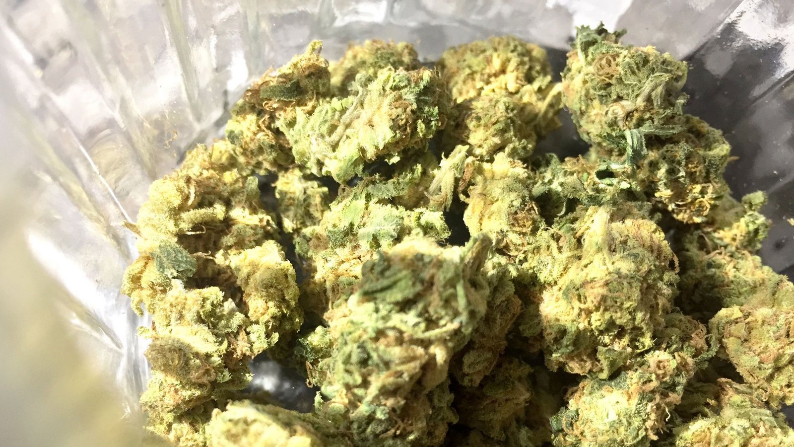 Neben Cannabis beschlagnahmte die Polizei auch Kokain. (Symbolbild)Foto: dpa/Lino Mirgeler