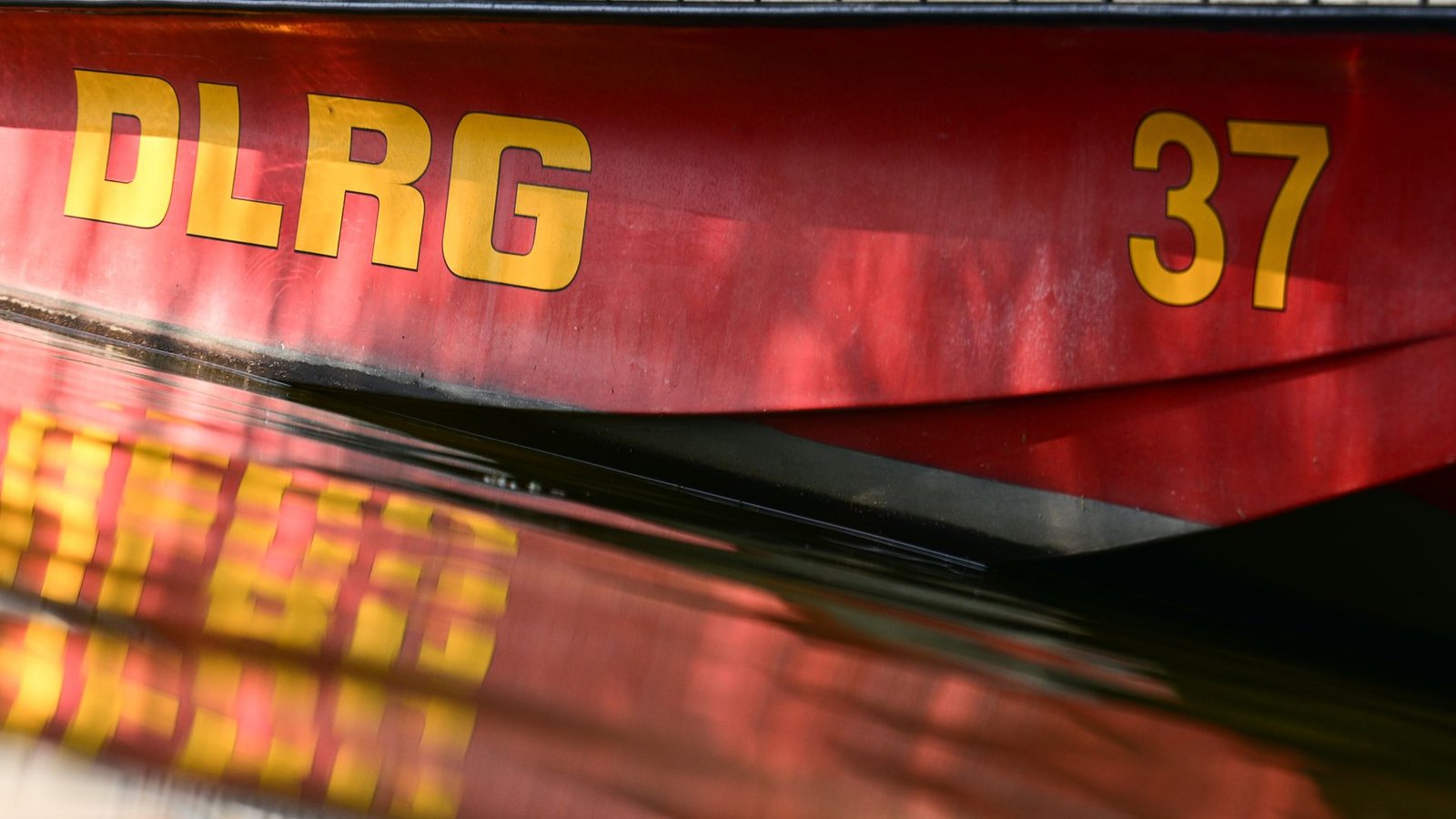 Die DLRG fordert von ihren Mitgliedern Verfassungstreue.Foto: Sebastian Gollnow/dpa Die DLRG fordert von ihren Mitgliedern Verfassungstreue.Foto: Sebastian Gollnow/dpa