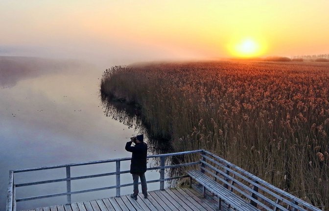 Der Federsee in Bad Buchau, Oberschwaben ist mit einer Fläche von 1,4 Quadratkilometern der zweitgrößte See in Baden-Württemberg. Mit insgesamt  33 Quadratkilometer gehört das Gebiet zum  größten Moor Südwestdeutschlands.<span class='image-autor'>Foto: dpa/Thomas Warnack</span>