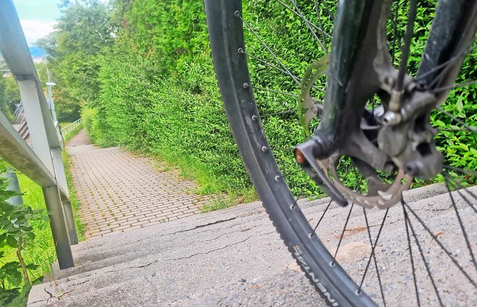 Mountainbiker fahren die Treppen an der Neuen Weinsteige oft in hohem Tempo hinunter.<span class='image-autor'>Foto: Sebastian Steegmüller</span>
