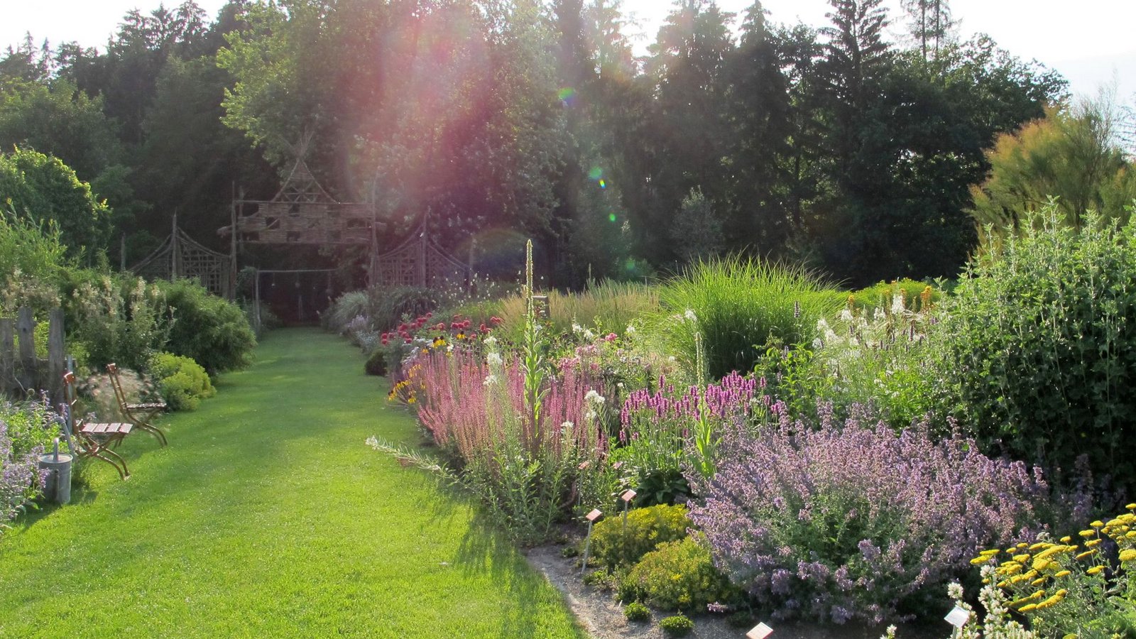 Idyllischer Staudengarten der Gärtnerei Gaißmayer in Illertissen im Allgäu. Weitere Fotos aus dem Garten und dem Museum der Gartenkultur finden sich in der Bildergalerie.Foto: Staudengärtnerei Gaißmayer/SG Idyllischer Staudengarten der Gärtnerei Gaißmayer in Illertissen im Allgäu. Weitere Fotos aus dem Garten und dem Museum der Gartenkultur finden sich in der Bildergalerie.Foto: Staudengärtnerei Gaißmayer/SG