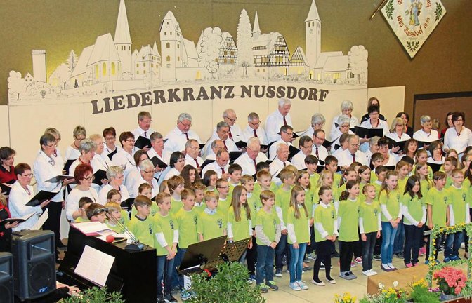 Volle Bühne in der Gemeindehalle: Der gemischte Projektchor des Liederkranzes Nussdorf sang zu seinem Jubiläum gemeinsam mit Sängerinnen aus Enzweihingen und Schülern.  Fotos: Elsässer