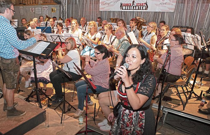 Silvia Schadt sang beim Unterhaltungsprogramm des Musikvereins Illingen.  Foto: Fotomoment