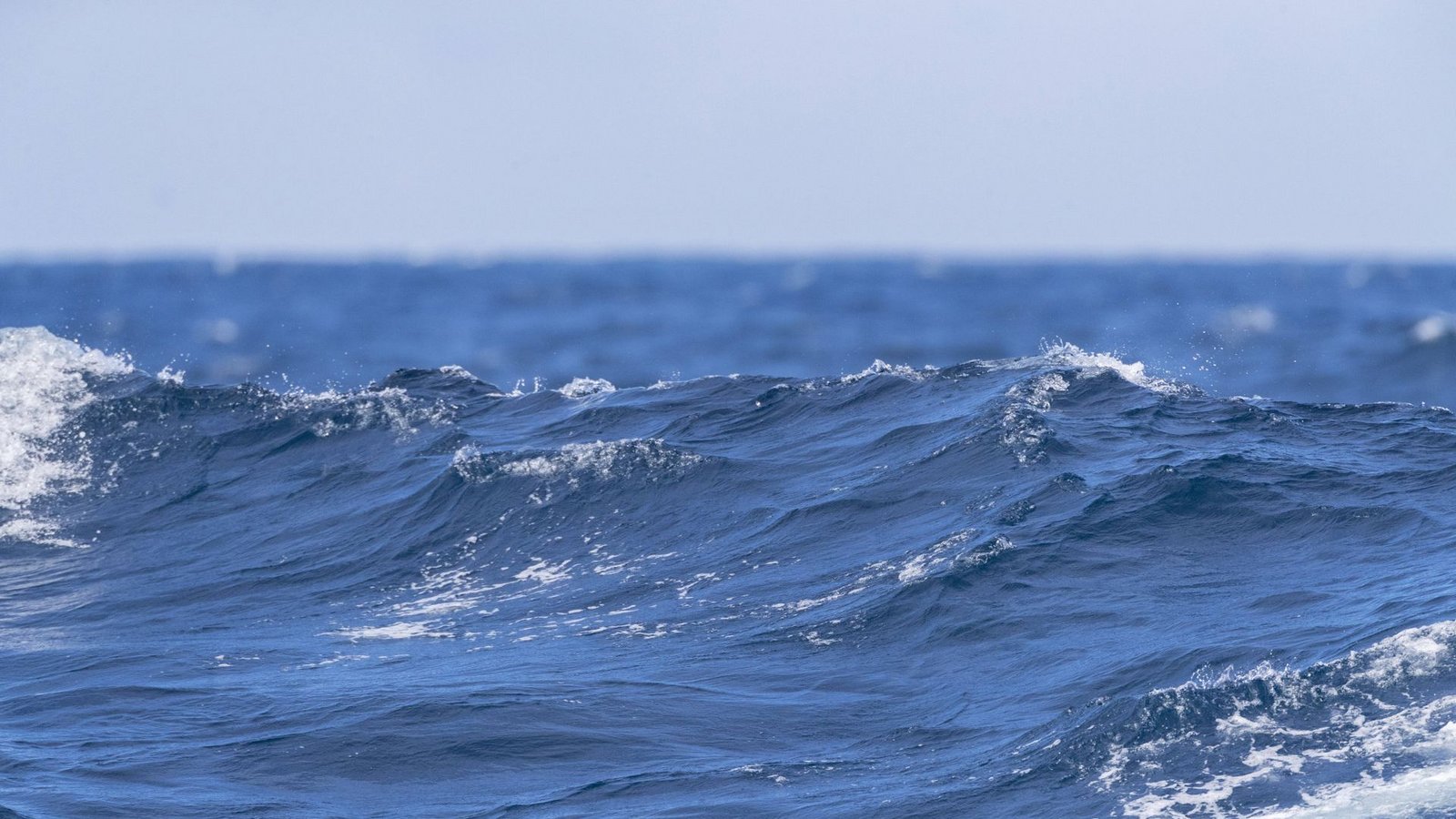Das Wasser der Ozeane ist viel zu warm.Foto: imago//M. Guyt