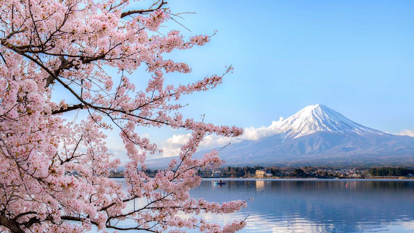 So sehen Sieger aus: der Fuji in Japan während der Kirschblüte.Foto: Getty Images/iStockphoto/Phattana So sehen Sieger aus: der Fuji in Japan während der Kirschblüte.Foto: Getty Images/iStockphoto/Phattana