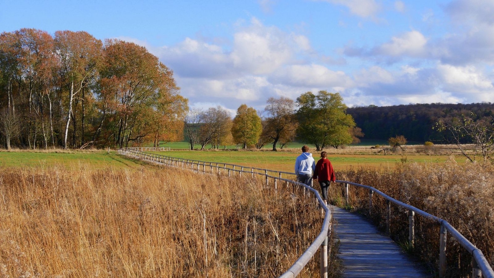 Das Schopflocher Torfmoor ist das einzige größere Hochmoor der Schwäbischen Alb.Foto: IMAGO/Zoonar/Günter Gegenheimer Das Schopflocher Torfmoor ist das einzige größere Hochmoor der Schwäbischen Alb.Foto: IMAGO/Zoonar/Günter Gegenheimer