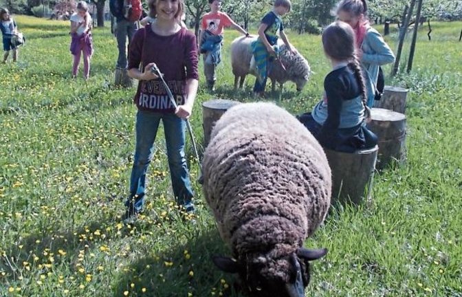 Frühlingsspaziergang der BUND-Kindergruppe aus Ensingen mit den drei BUND-Schafen, „welche auf die schönen Namen Pennie, Marie und Amelie hören“, schreibt Susanne Häuser-Essig zum Foto.