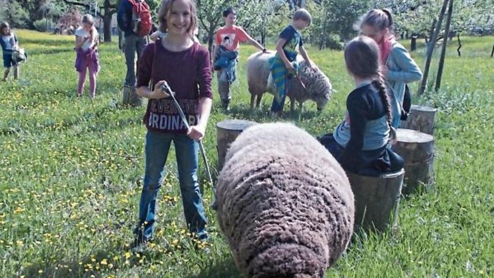 Frühlingsspaziergang der BUND-Kindergruppe aus Ensingen mit den drei BUND-Schafen, „welche auf die schönen Namen Pennie, Marie und Amelie hören“, schreibt Susanne Häuser-Essig zum Foto. Frühlingsspaziergang der BUND-Kindergruppe aus Ensingen mit den drei BUND-Schafen, „welche auf die schönen Namen Pennie, Marie und Amelie hören“, schreibt Susanne Häuser-Essig zum Foto.