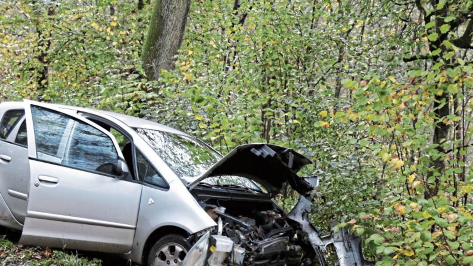 Kurz vor Großsachsenheim ist das Auto von der Straße abgekommen. Foto: Bögel