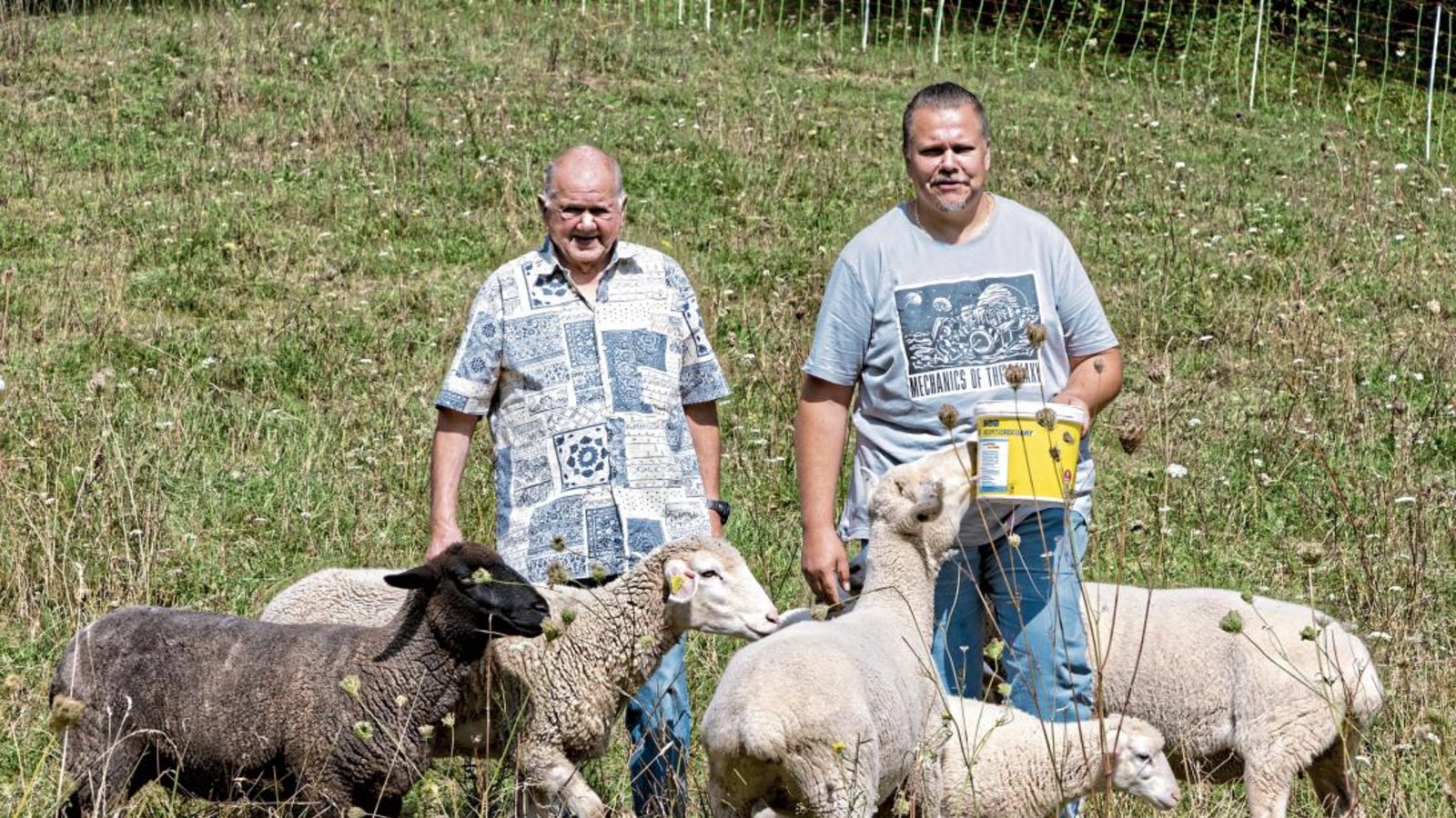 Martin Stange und und Sohn Stephan mit den restlichen fünf Schafen. Foto: Pangerl Martin Stange und und Sohn Stephan mit den restlichen fünf Schafen. Foto: Pangerl