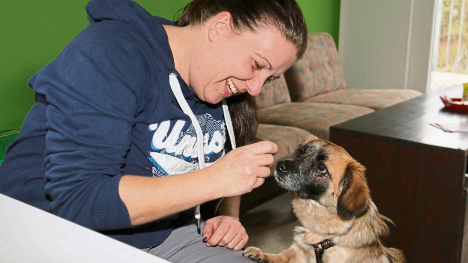 Ein Leckerchen von Tierheimleiterin Dr. Tanja Lessel für Hündin Bella, die ein neues Zuhause sucht. Fotos: Rücker