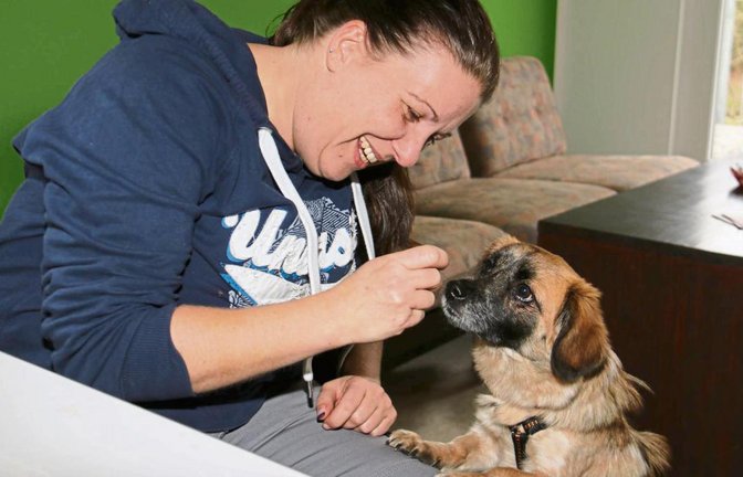 Ein Leckerchen von Tierheimleiterin Dr. Tanja Lessel für Hündin Bella, die ein neues Zuhause sucht. Fotos: Rücker