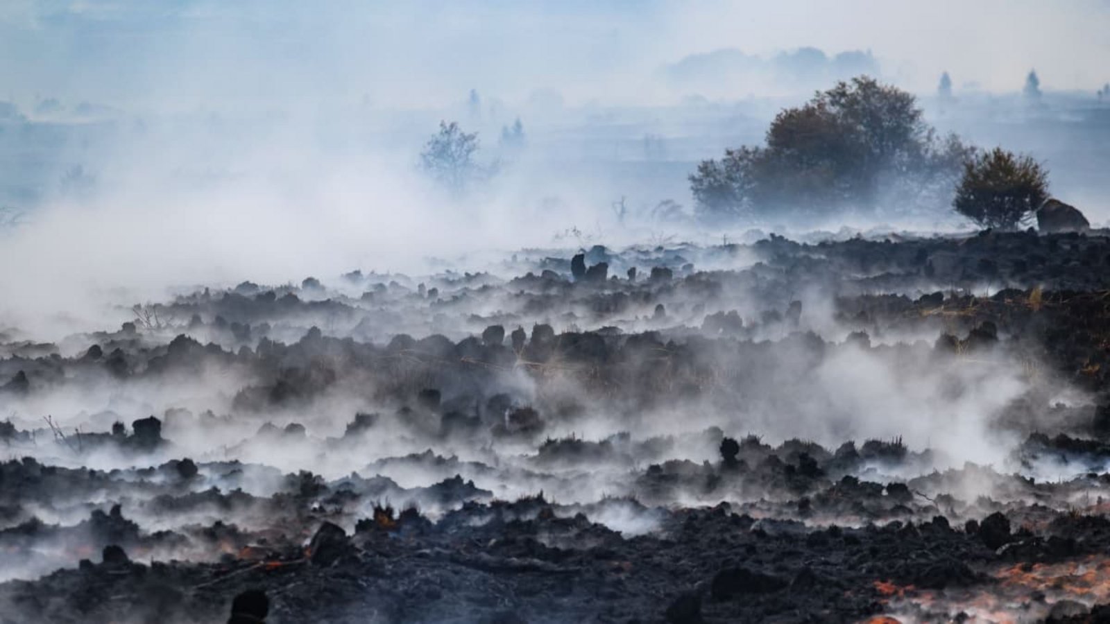 Rauch schwebt über der verbrannten Landschaft im Naturschutzgebiet Hohes Venns. Die Bekämpfung des Waldbrandes ist wegen des torfhaltigen Bodens in dem Naturschutzgebiet besonders schwierig.Bruno Fahy/Belga/dpa Rauch schwebt über der verbrannten Landschaft im Naturschutzgebiet Hohes Venns. Die Bekämpfung des Waldbrandes ist wegen des torfhaltigen Bodens in dem Naturschutzgebiet besonders schwierig.Bruno Fahy/Belga/dpa
