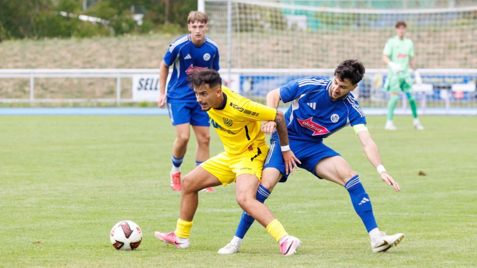 Ein klares 4:1 gegen den ambitionierten SV Waldhausen (in Gelb): Gianluca Gamuzza (re.) und der VfL Sindelfingen grüßen in der Tabelle weiterhin von ganz oben.Stefanie Schlecht Ein klares 4:1 gegen den ambitionierten SV Waldhausen (in Gelb): Gianluca Gamuzza (re.) und der VfL Sindelfingen grüßen in der Tabelle weiterhin von ganz oben.Stefanie Schlecht
