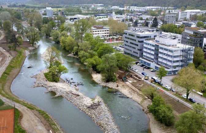 Die Insel mit dem Baum war einmal Ufer, der Teil links davon wurde abgebaggert.<span class='image-autor'>Foto: Horst Haas</span>