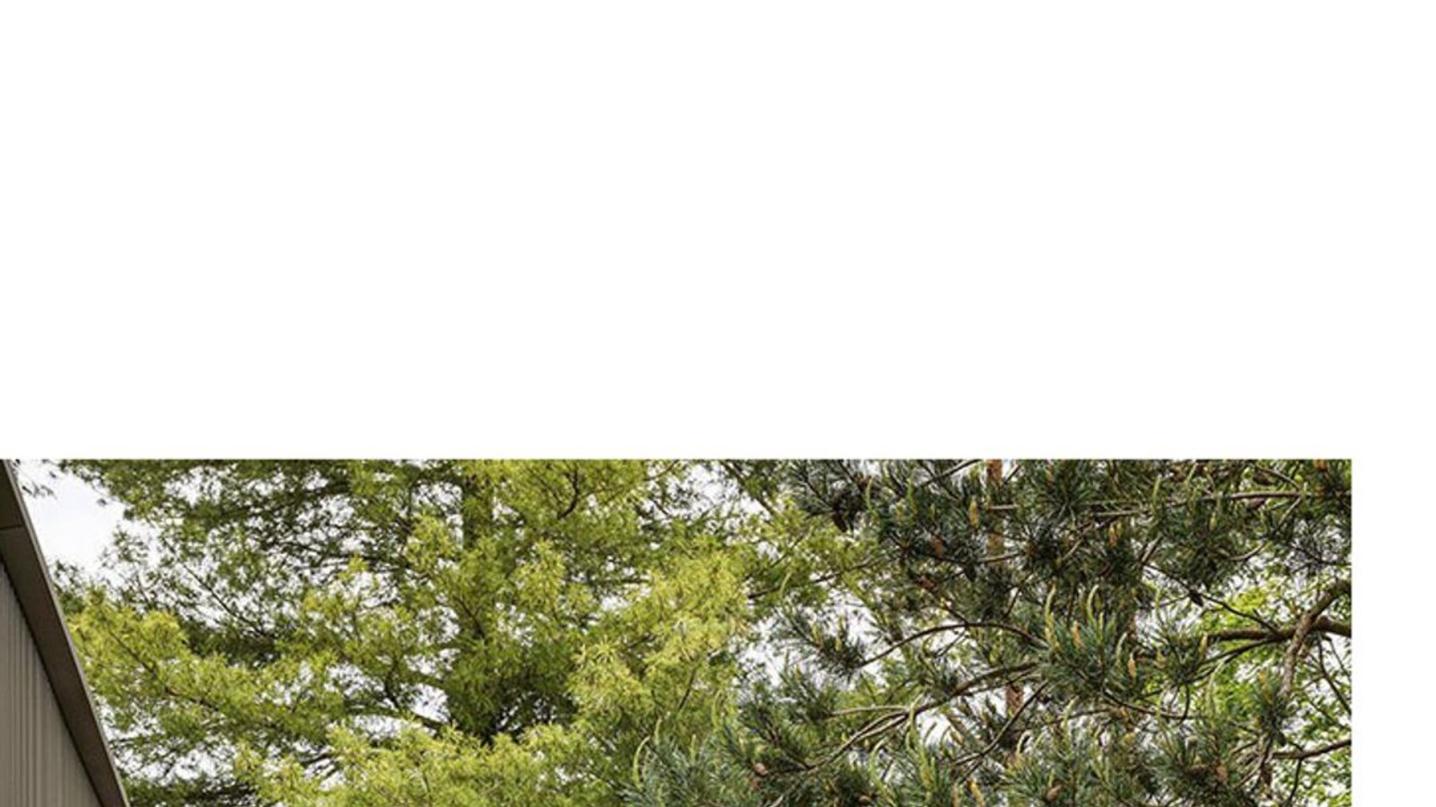 Stephan Maria Lang lässt  Gartenräume mit interessanten Blickachsen entstehen.Foto: Se­basti­an Kolm