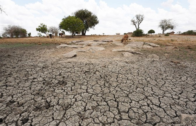 Seit Monaten dauert in Somalia, Kenia und Äthiopien eine schwere Dürre an.<span class='image-autor'>Foto: Dong Jianghui/XinHua/dpa</span>