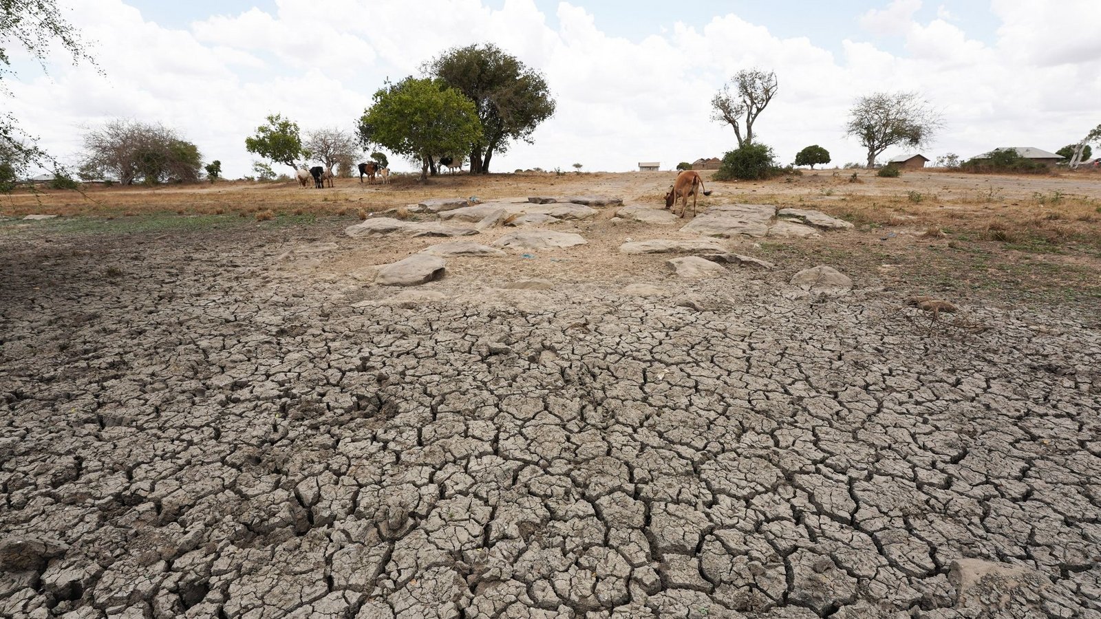 Seit Monaten dauert in Somalia, Kenia und Äthiopien eine schwere Dürre an.Foto: Dong Jianghui/XinHua/dpa