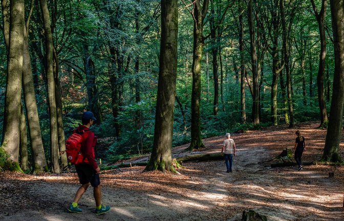 Die Personen verunglückten beim Wandern in Österreich. (Symbolbild)<span class='image-autor'>Foto: IMAGO/ZUMA Press Wire/IMAGO/Ana Fernandez</span>
