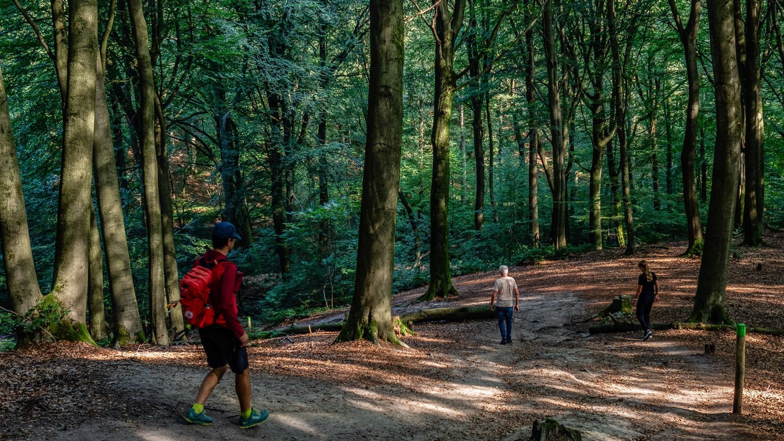 Die Personen verunglückten beim Wandern in Österreich. (Symbolbild)Foto: IMAGO/ZUMA Press Wire/IMAGO/Ana Fernandez Die Personen verunglückten beim Wandern in Österreich. (Symbolbild)Foto: IMAGO/ZUMA Press Wire/IMAGO/Ana Fernandez