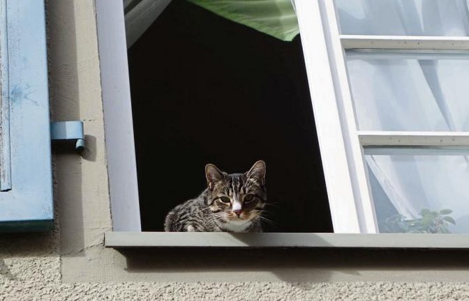 „Ich seh Dich.“ „Ich Dich auch.“ Gesehen in Vaihingen.  Foto: Rücker