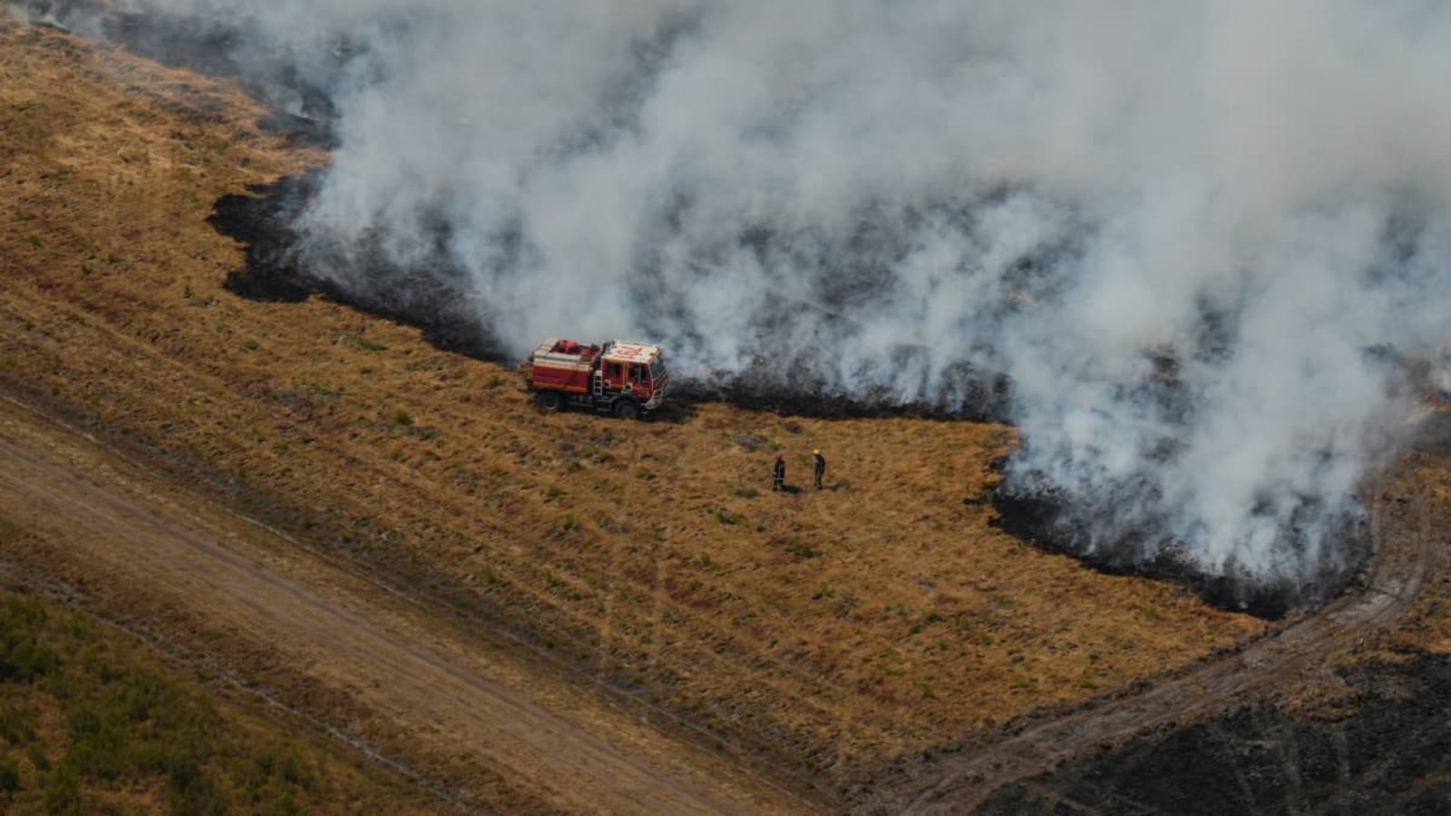 Feuerwehrleute bekämpfen einen Brand in der Nähe von Ares während der Waldbrände im Südwesten Frankreichs.Baz Ratner/Pool AP/dpa Feuerwehrleute bekämpfen einen Brand in der Nähe von Ares während der Waldbrände im Südwesten Frankreichs.Baz Ratner/Pool AP/dpa