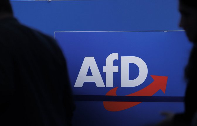 Die Partei muss sich im Südwesten anders positionieren.<span class='image-autor'>Foto: Carsten Koall/dpa</span>