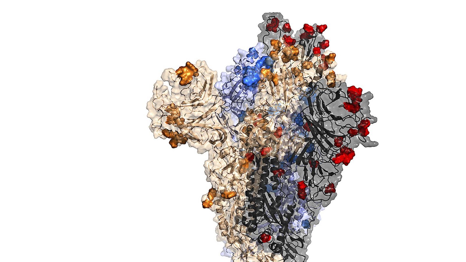 Foto: Centre for Virus Research at the University of Glasgow Foto: Centre for Virus Research at the University of Glasgow