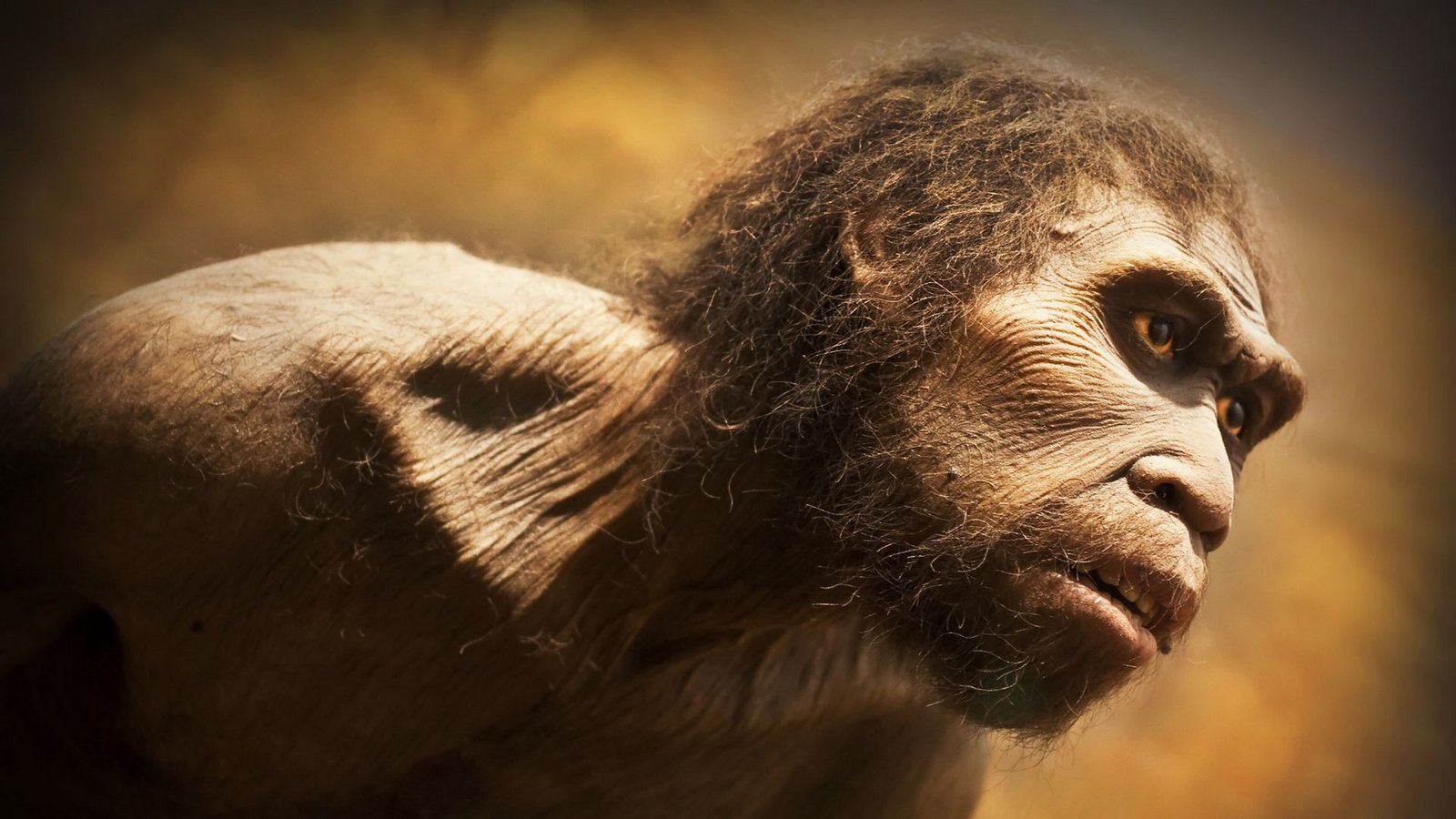 Neandertaler kümmerten sich um Kranke und Alte aus ihrer Gruppe. Doch sie hatten auch eine andere, kannibalistische Seite: Sie aßen teilweise ihre Artgenossen.Foto: Imago/Dreamstime Neandertaler kümmerten sich um Kranke und Alte aus ihrer Gruppe. Doch sie hatten auch eine andere, kannibalistische Seite: Sie aßen teilweise ihre Artgenossen.Foto: Imago/Dreamstime