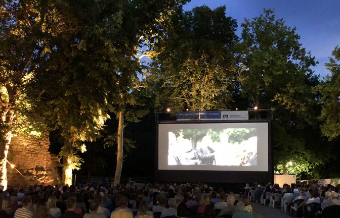 Sobald es dämmert, heißt es: Film ab!<span class='image-autor'>Foto: SNKhbg/Daniela Benzler</span>