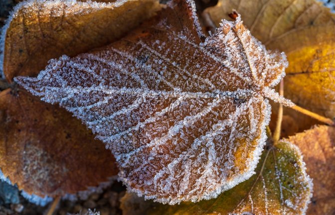 Auf milde Tage folgen frostige Nächte.<span class='image-autor'>Foto: Alexander_fotolab / shutterstock.com</span>
